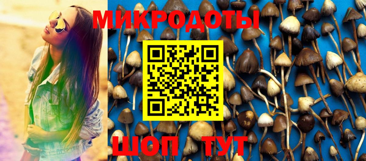 Галлюциногенные грибы мицелий Югорск