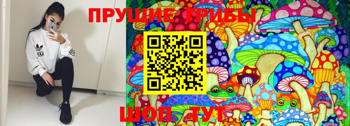 Югорск  Галлюциногенные грибы Psilocybine cubensis  Вход с VPN 